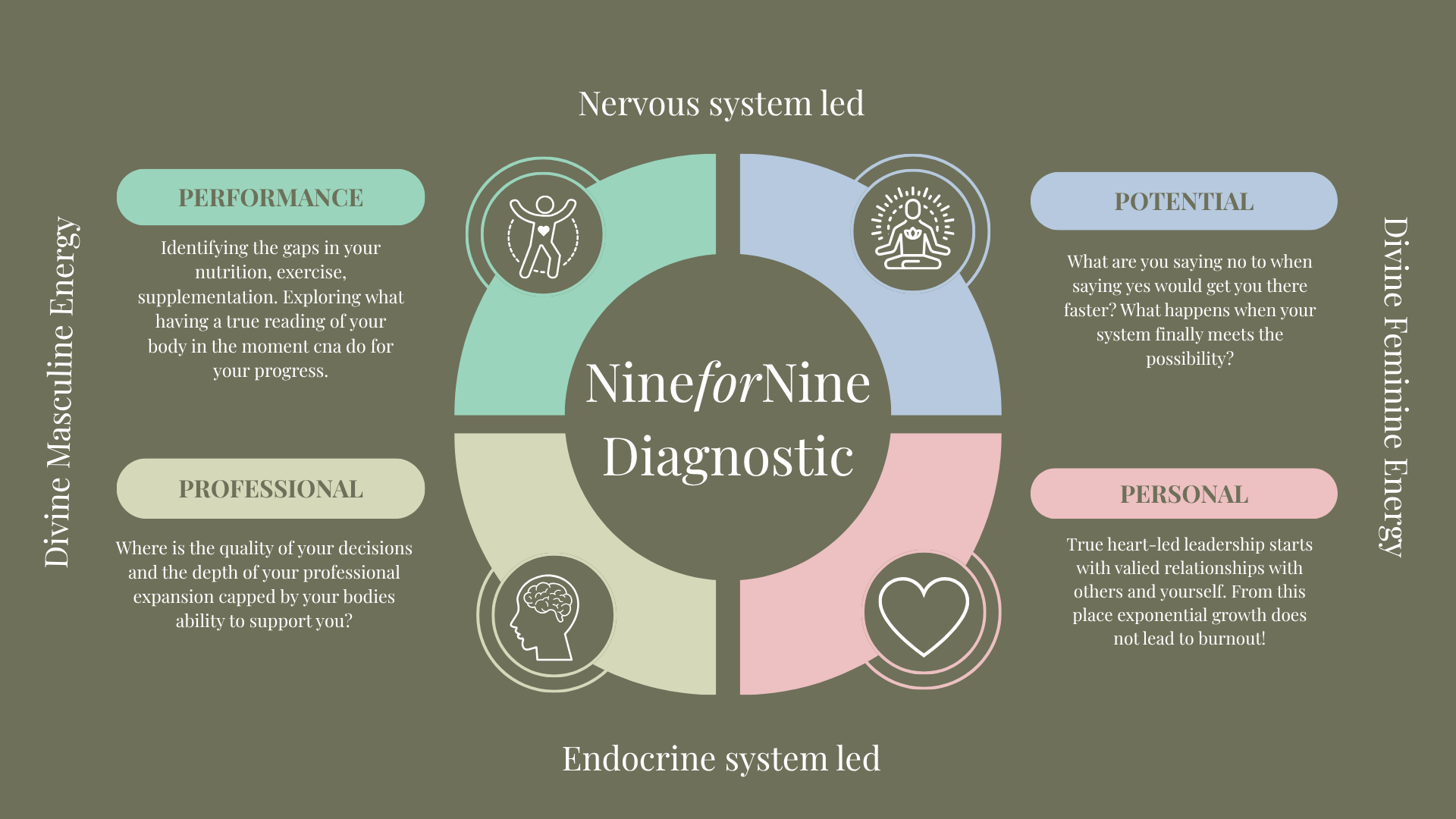 NineForNine Diagnostic map: four domains (Professional, Personal, Performance, Potential) arranged around the diagnostic across nervous and endocrine systems and divine masculine and feminine energy.